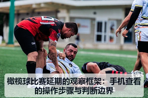 橄榄球比赛延期的观察框架：手机查看的操作步骤与判断边界
